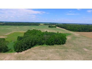Property photo 4 - REAL ESTATE AUCTION - 26.61+/- ACRES IN NOBLE COUNTY, INDIANA